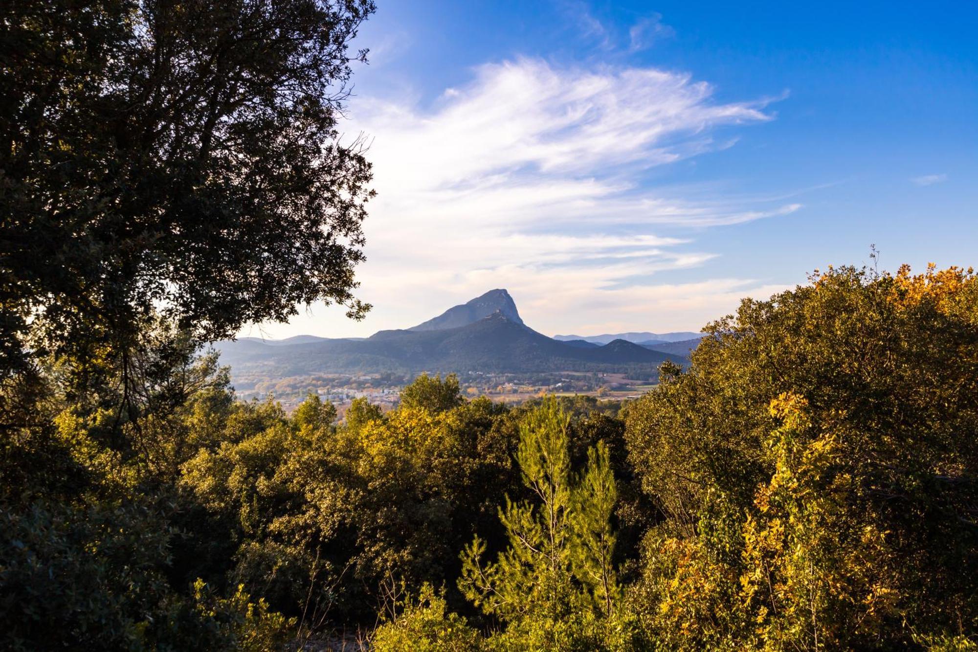 Domaine De Bonelli Hotel Conqueyrac Bagian luar foto